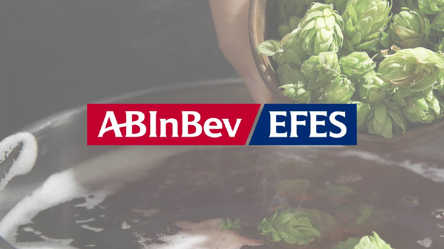 AB InBev Efes